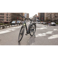 trenoli BRENTA classico Active Plus - Radhof - online