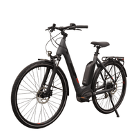 trenoli BRENTA classico Active Plus - Radhof - online