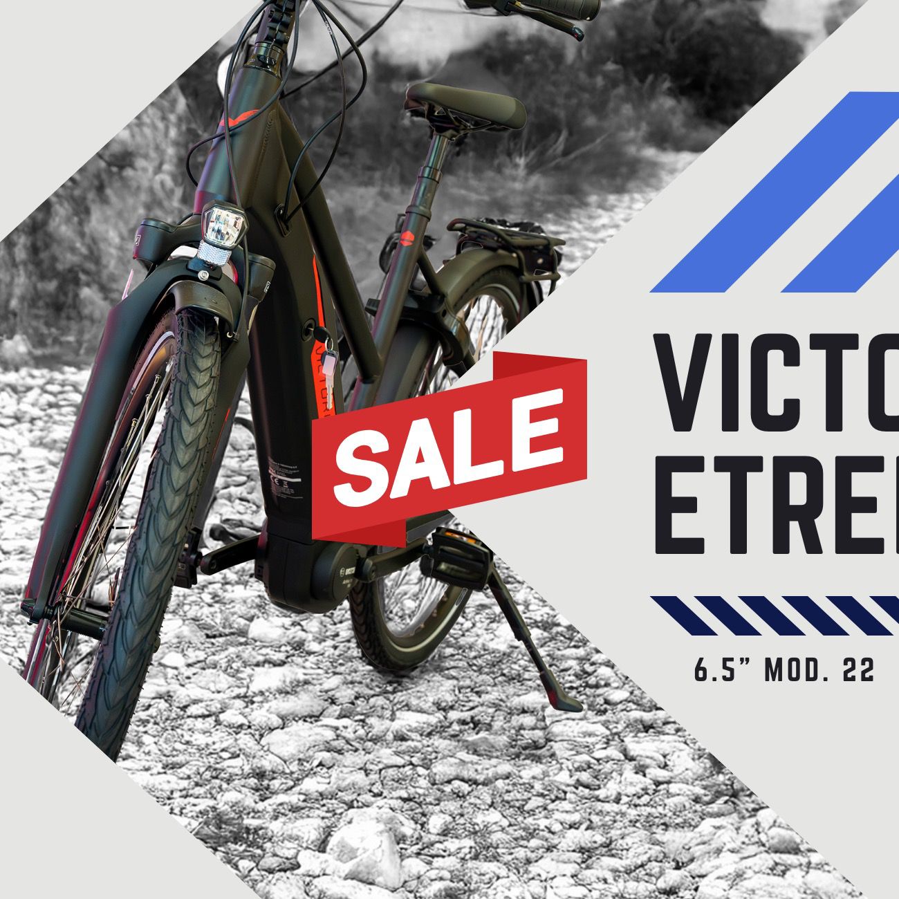 VICTORIA Elektro-Trekkingrad "eTrekking 6.5" Mod. 22