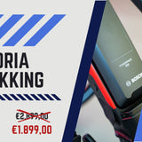 VICTORIA Elektro-Trekkingrad "eTrekking 6.5" Mod. 22