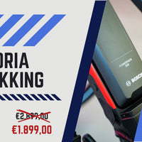 VICTORIA Elektro-Trekkingrad "eTrekking 6.5" Mod. 22