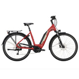 VICTORIA Elektro-Trekkingrad "eTrekking 6.5" Mod. 22